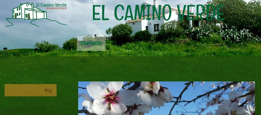 Startseite der alten camino-verde-Website auf jimdofree.com