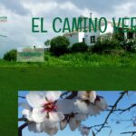 Startseite der alten camino-verde-Website auf jimdofree.com